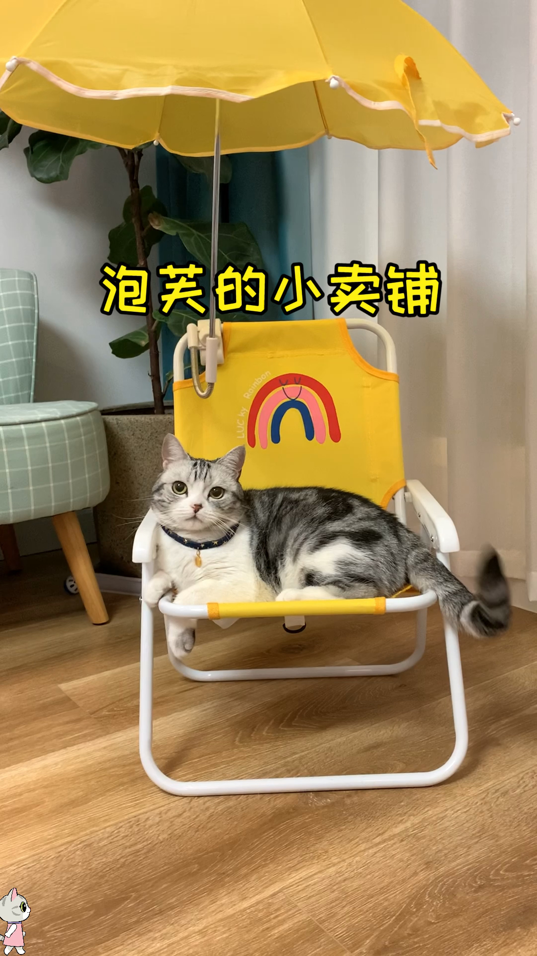 #猫咪日记#泡芙的小卖铺开张了欢迎大家光临