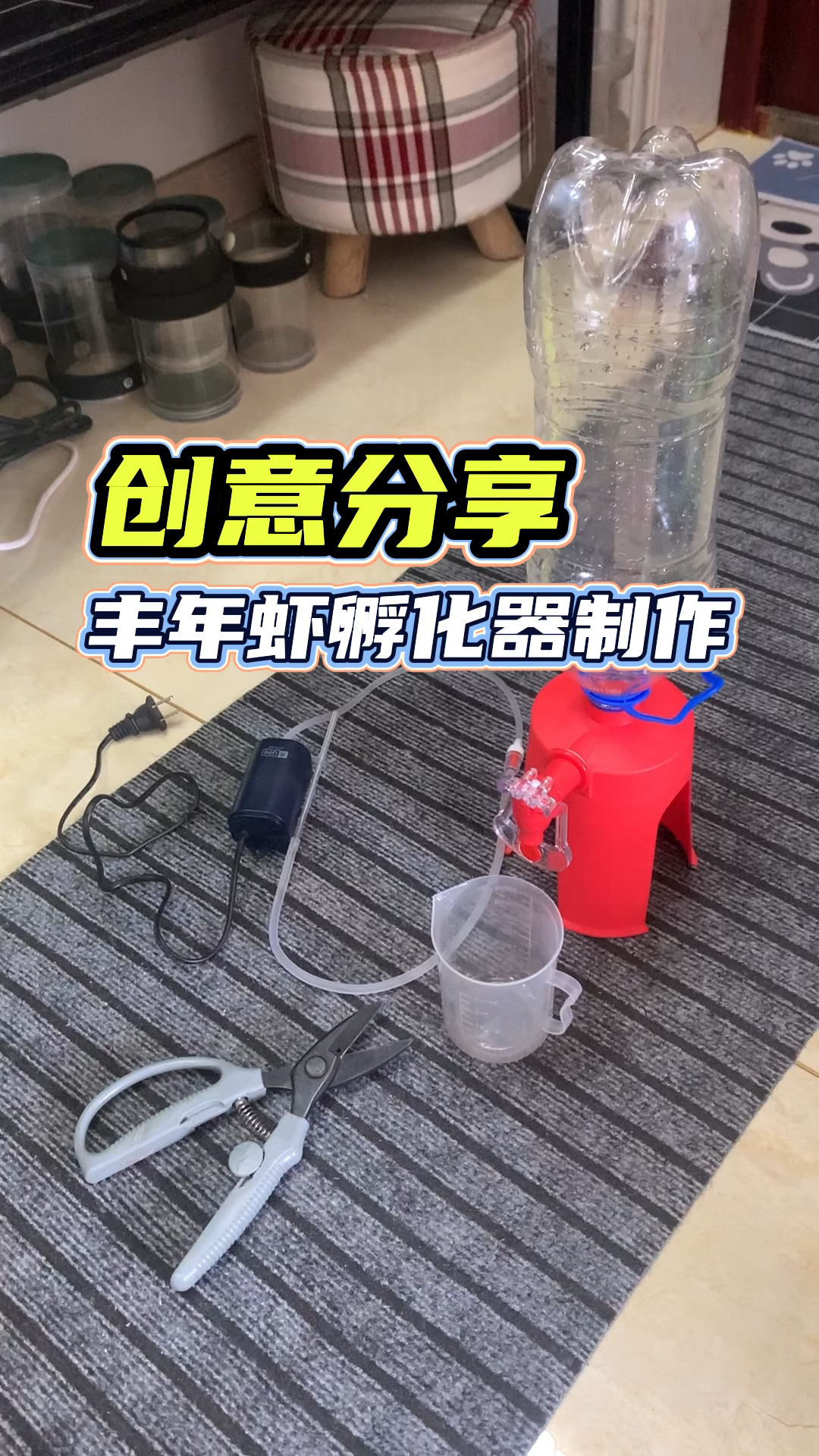 #观赏鱼#丰年虾孵化器制作
