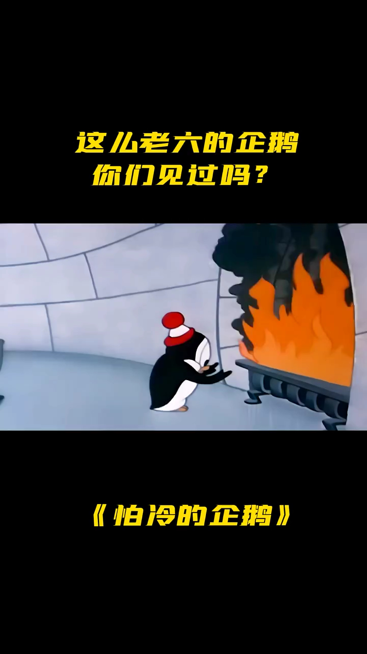 #动画片#这么怕冷的企鹅、你们见过嘛动画片解说