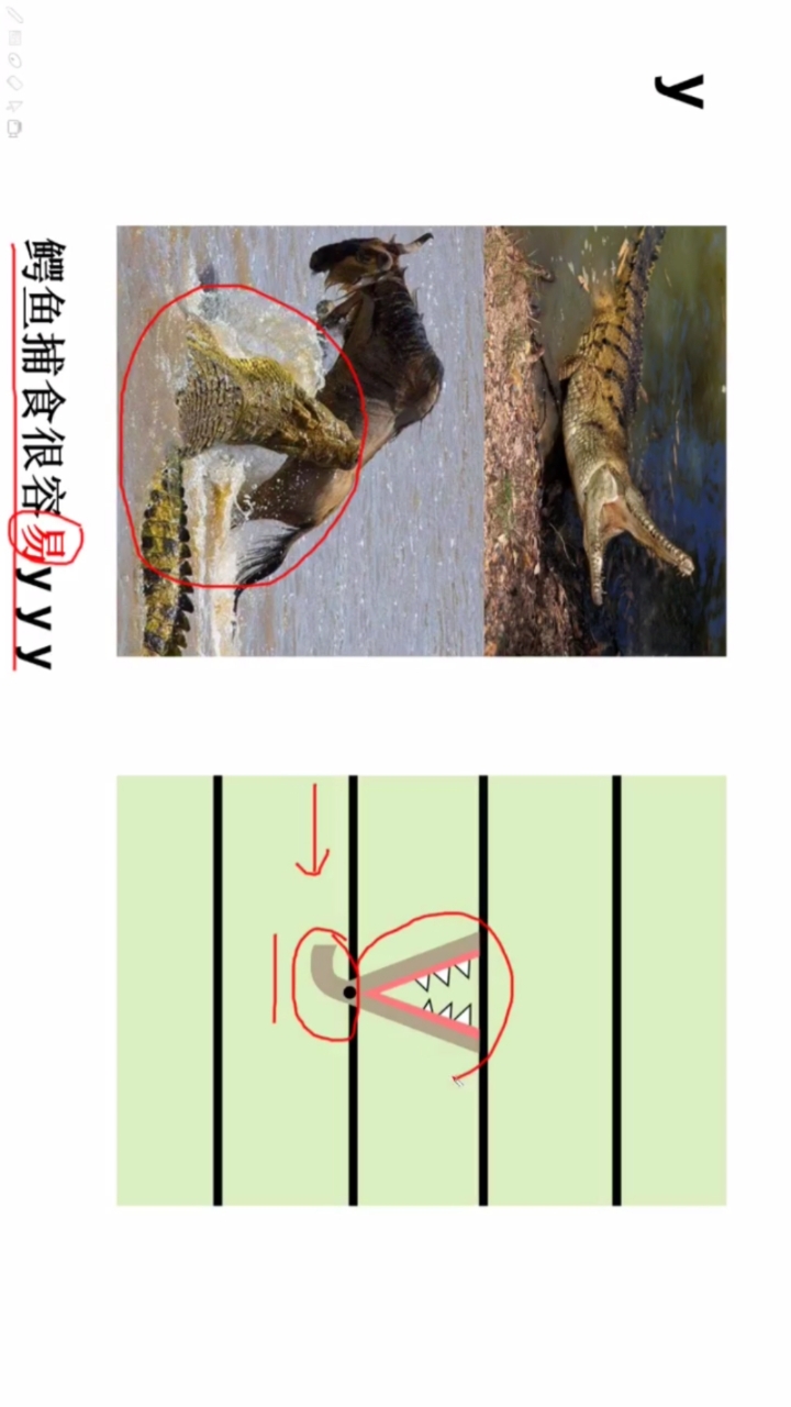 #育儿经验分享#如何高效学拼音-y形象记忆法