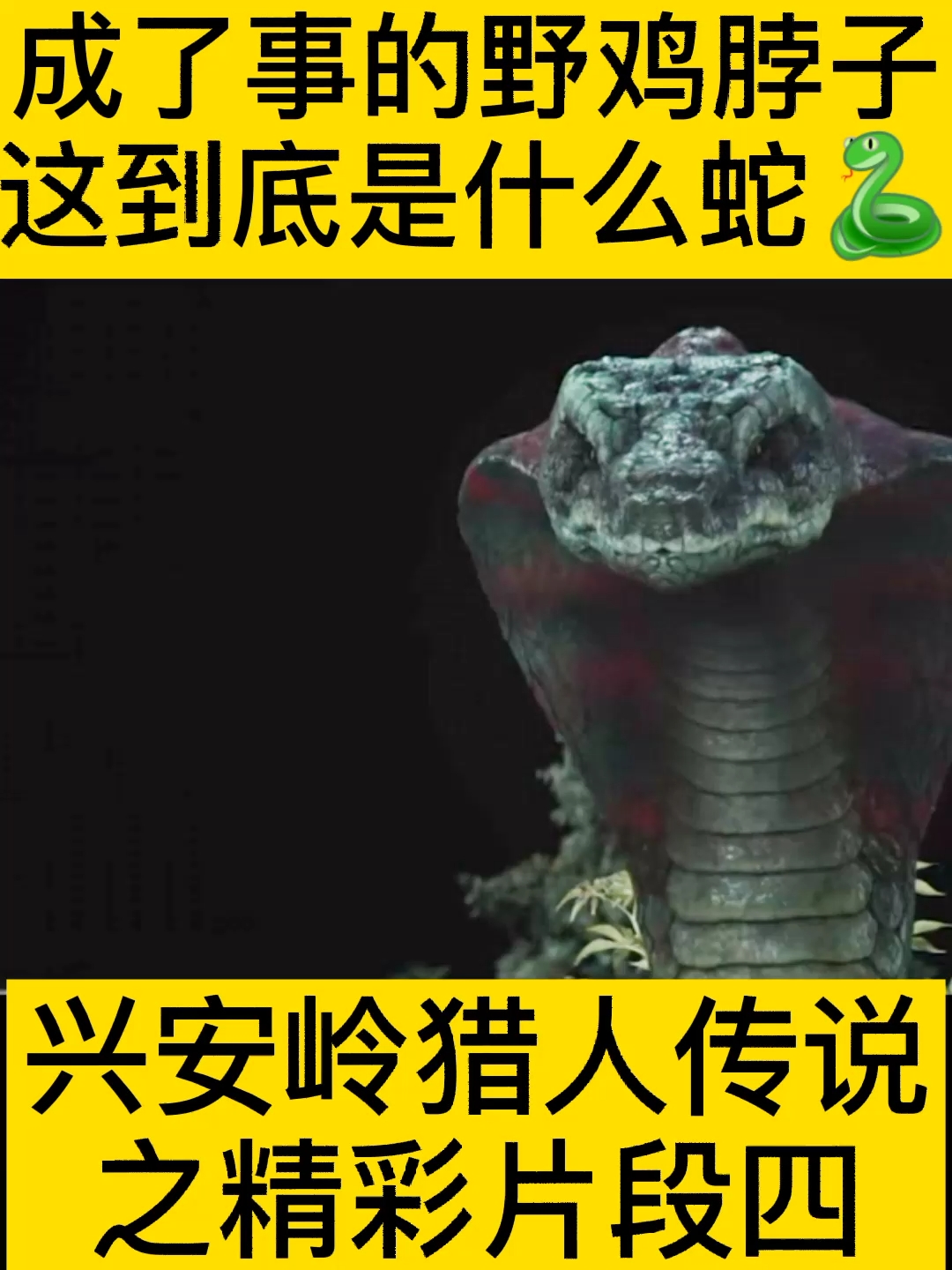 #好看电影#这么大一条蛇值多少钱呢