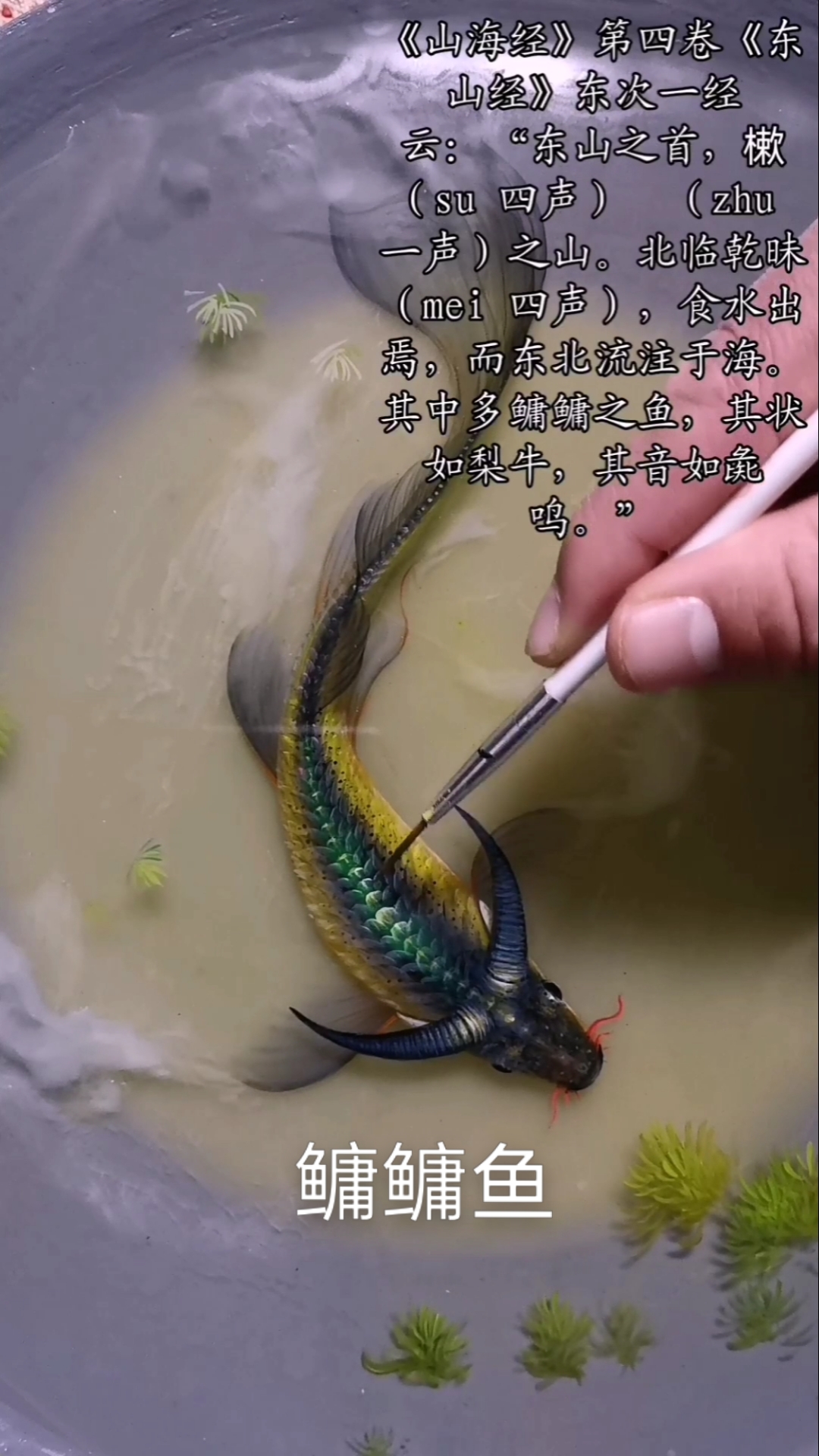 山海经～鳙鳙鱼