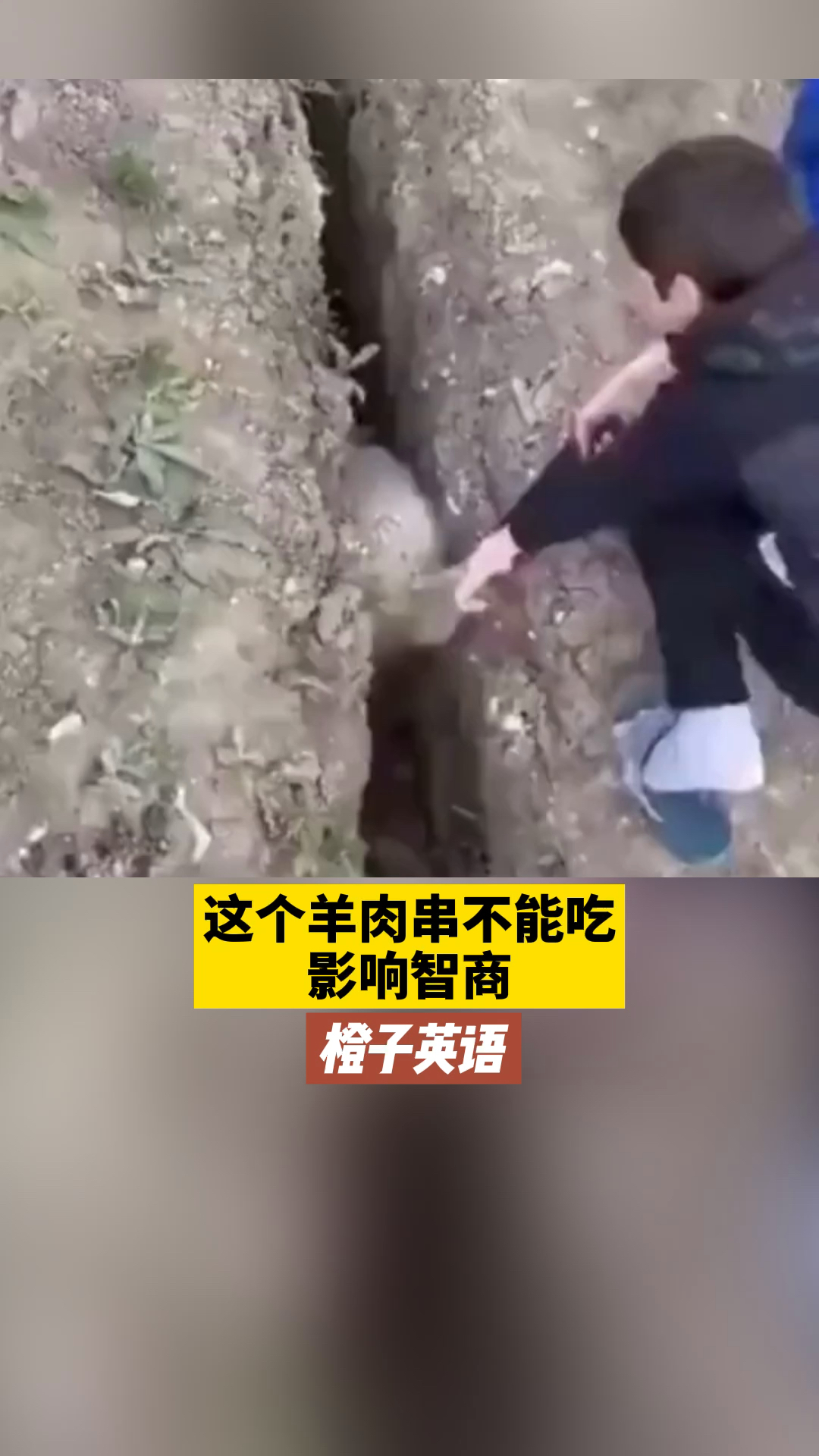 这个羊肉串不能吃,影响智商