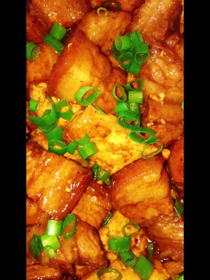 特色小吃菜品红烧肉炖豆腐