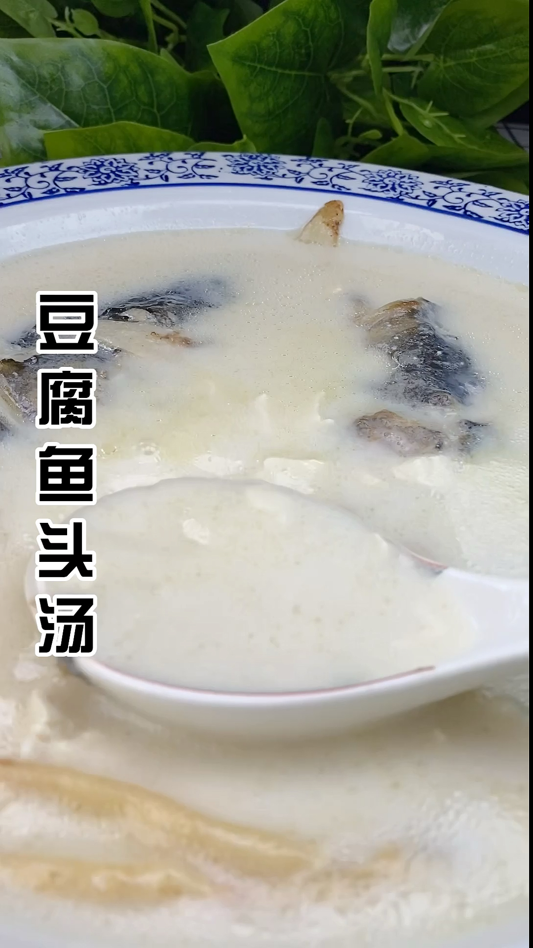 #美食#你喝过比牛奶还白的鱼头豆腐汤吗?