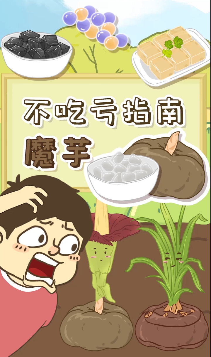 #魔芋#奶茶里的多肉,寒天,脆啵啵原来都是它