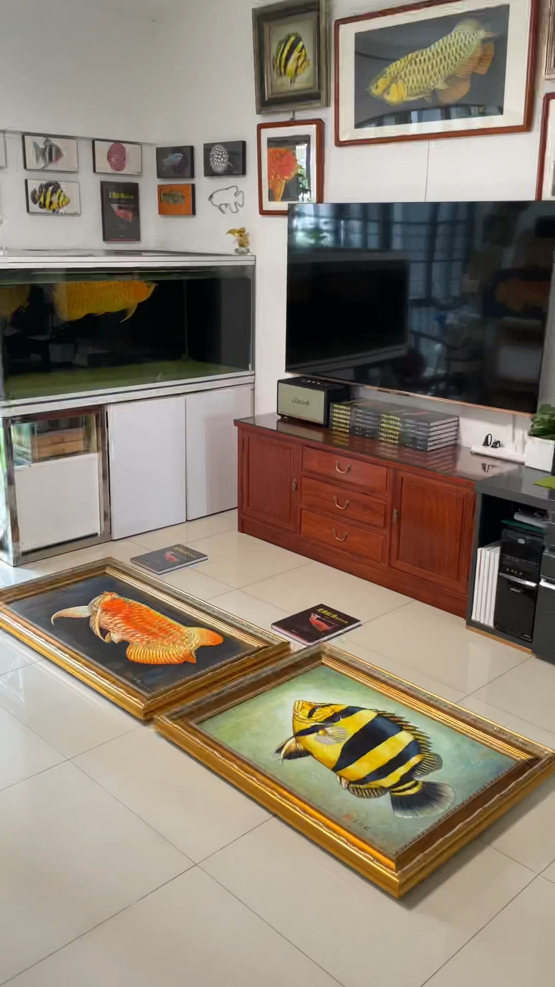 #龙鱼#龙鱼和虎鱼画好了,给家里的鱼画来个大合照!