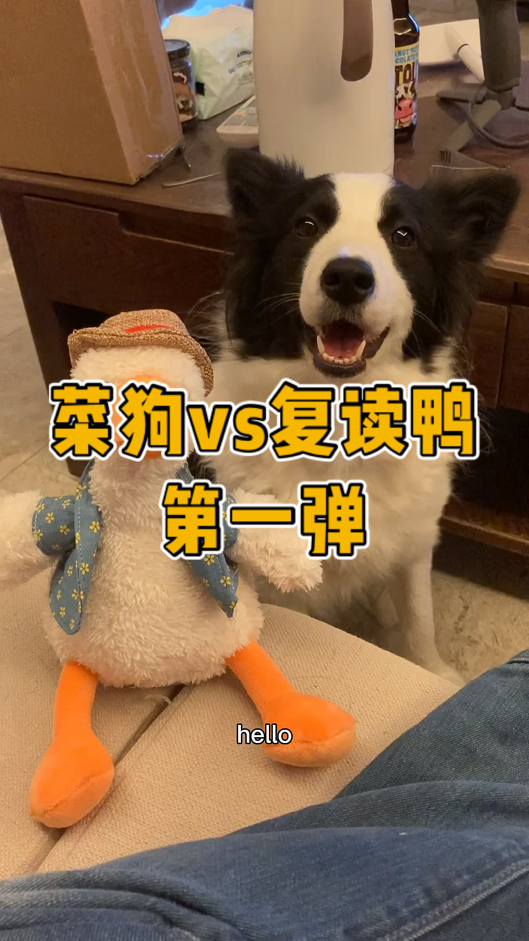 #复读鸭#所以爱会消失,对吗?