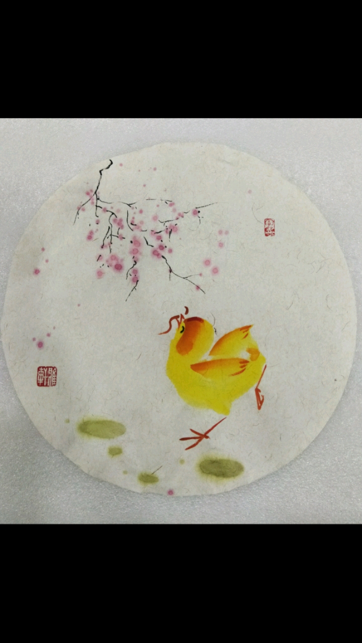 画小鸡萌萌哒系列