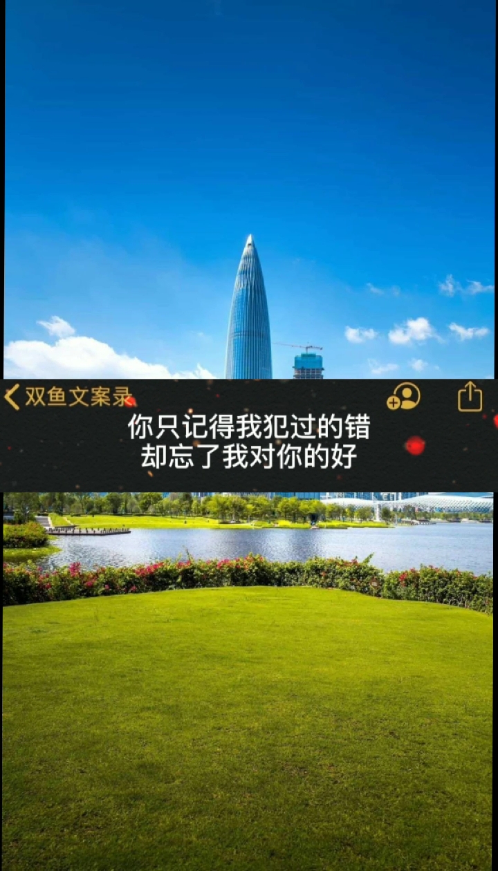 #文案#你只记得我犯过的错,却忘了我对你的好。
