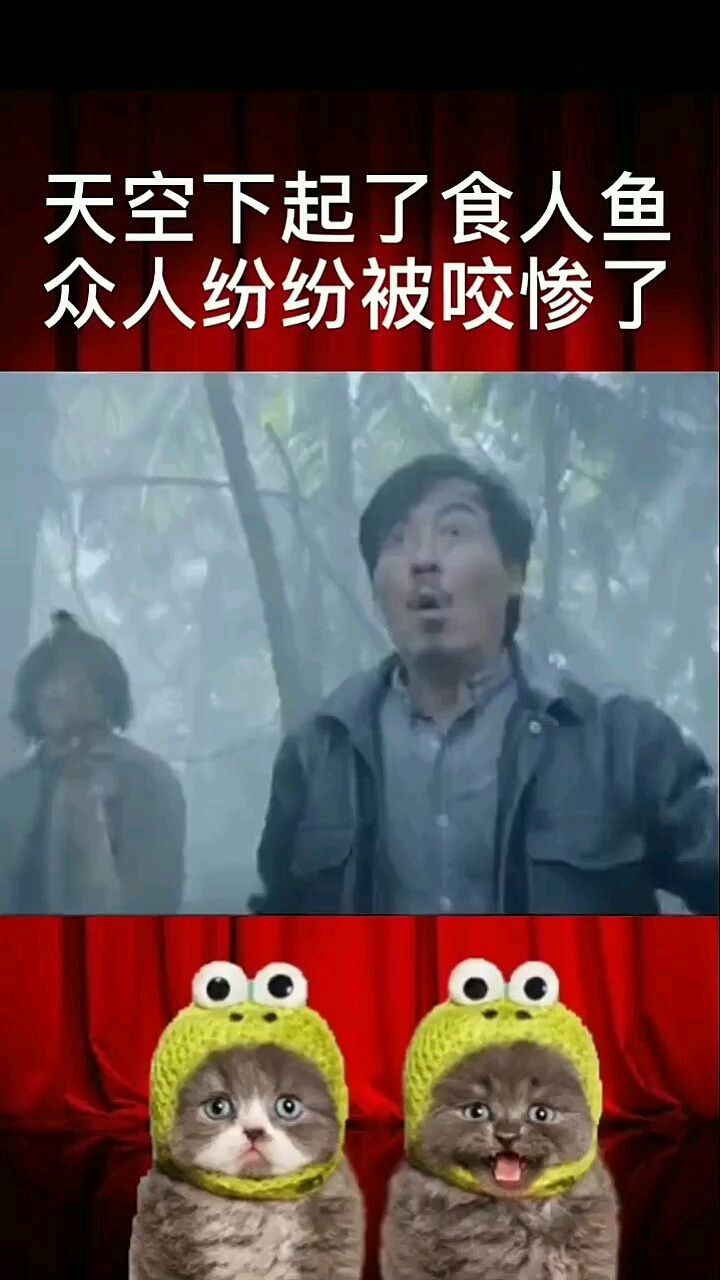 分享视频