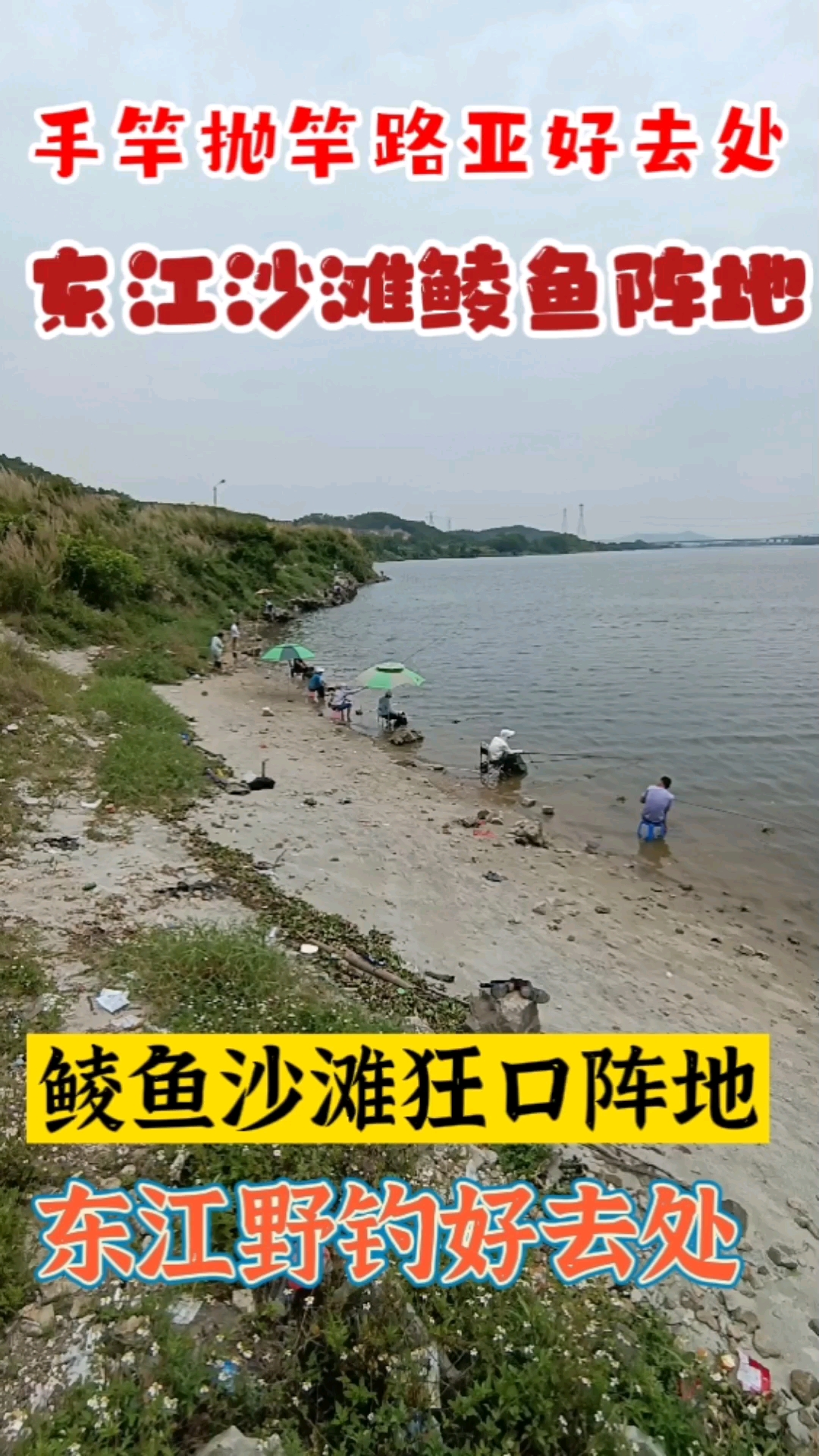 #野钓#东江野钓鲮鱼好去处,狂口沙滩钓位