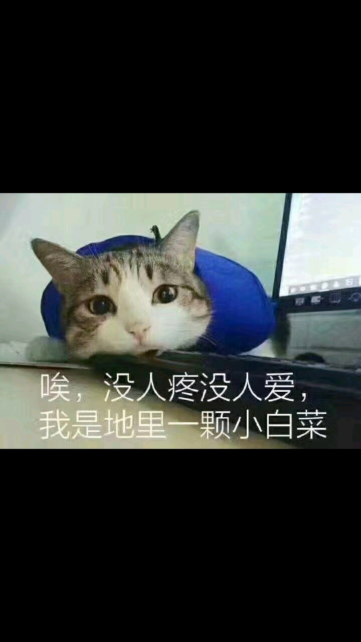 分享视频