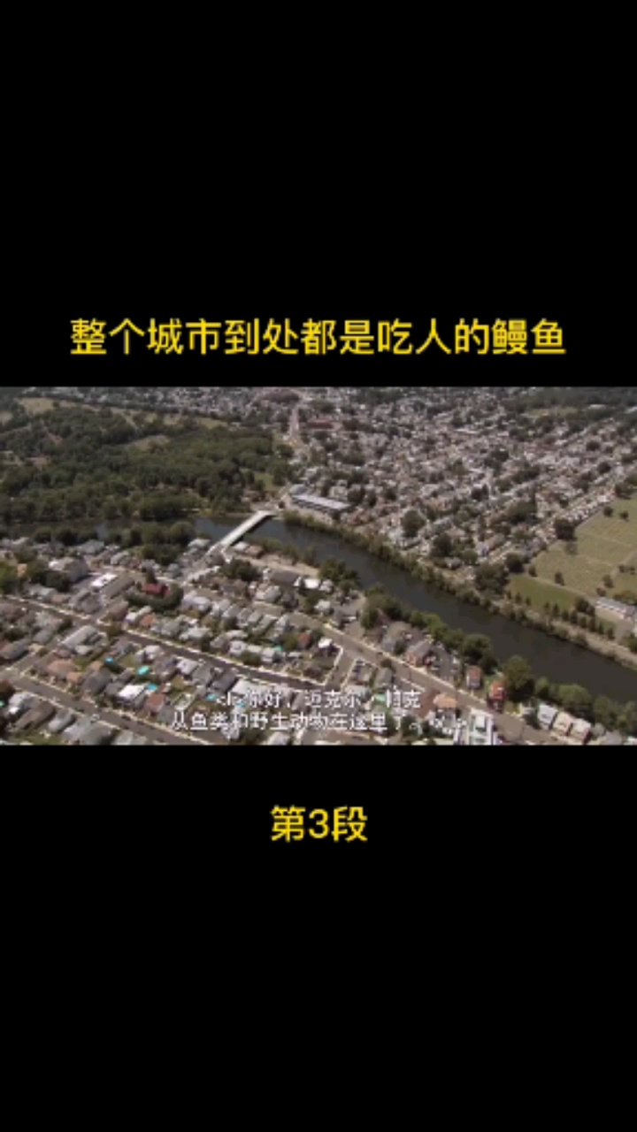 电影(血湖)整个城市到处都是吃人的鳗鱼…