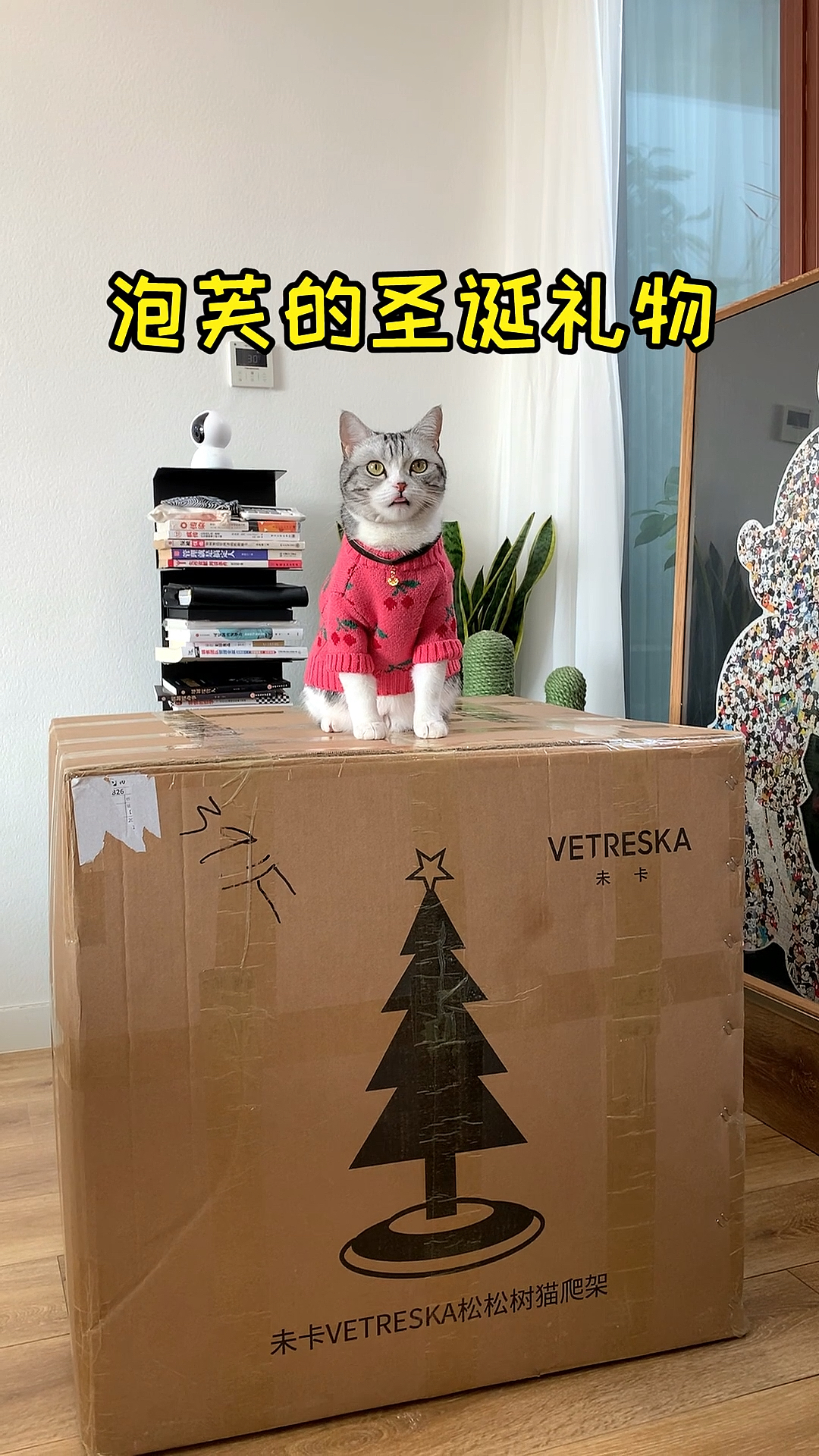 #圣诞快乐#收到圣诞礼物的芙芙开心的笑了，一定要看到最后哦