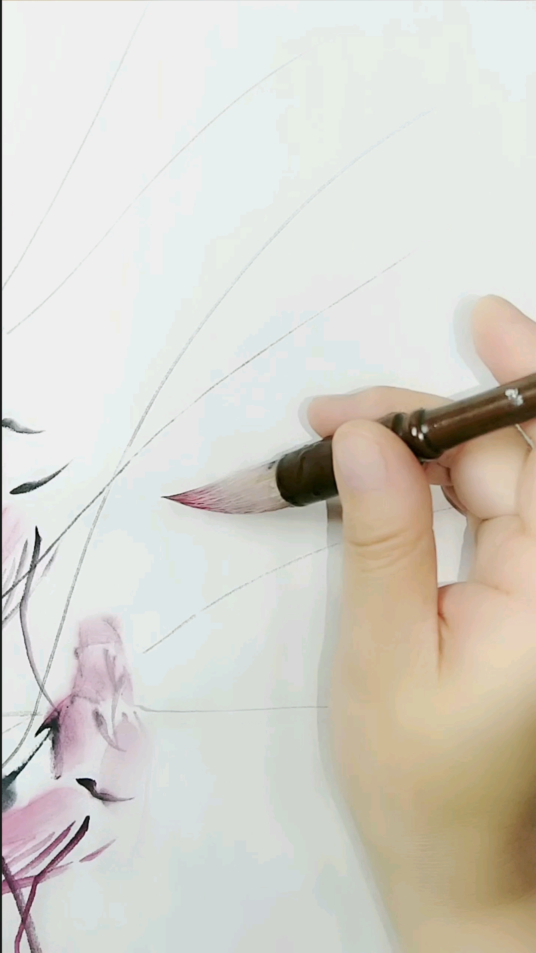 #中国画#画虾很简单,用一支笔就够了