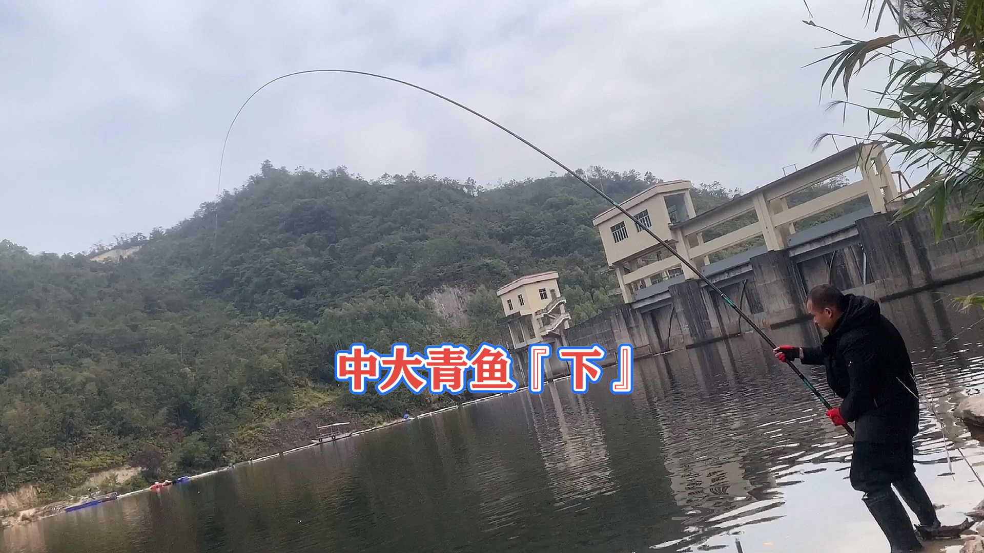 #钓鱼#中大青鱼第一视角,太刺激了,隔着屏幕都爽下集!