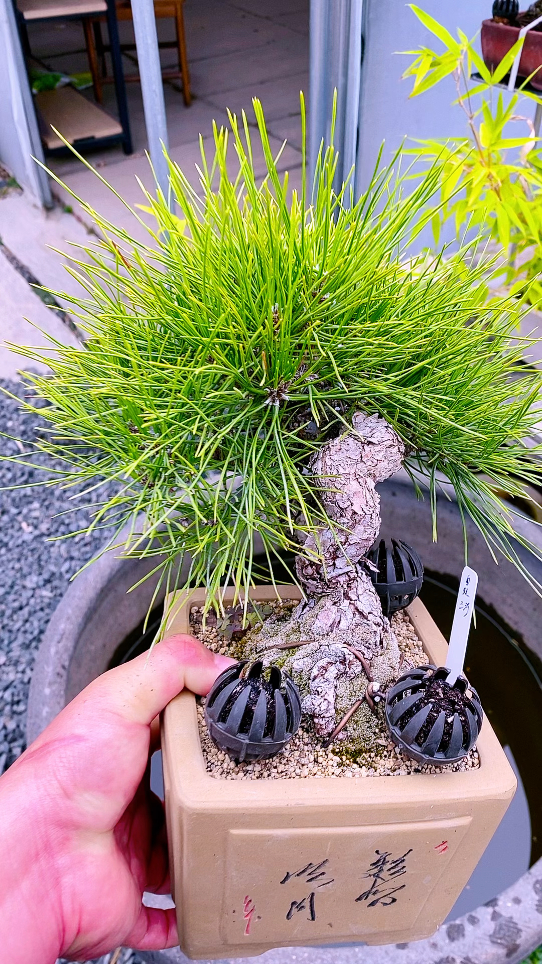 放心的不可能淹死的