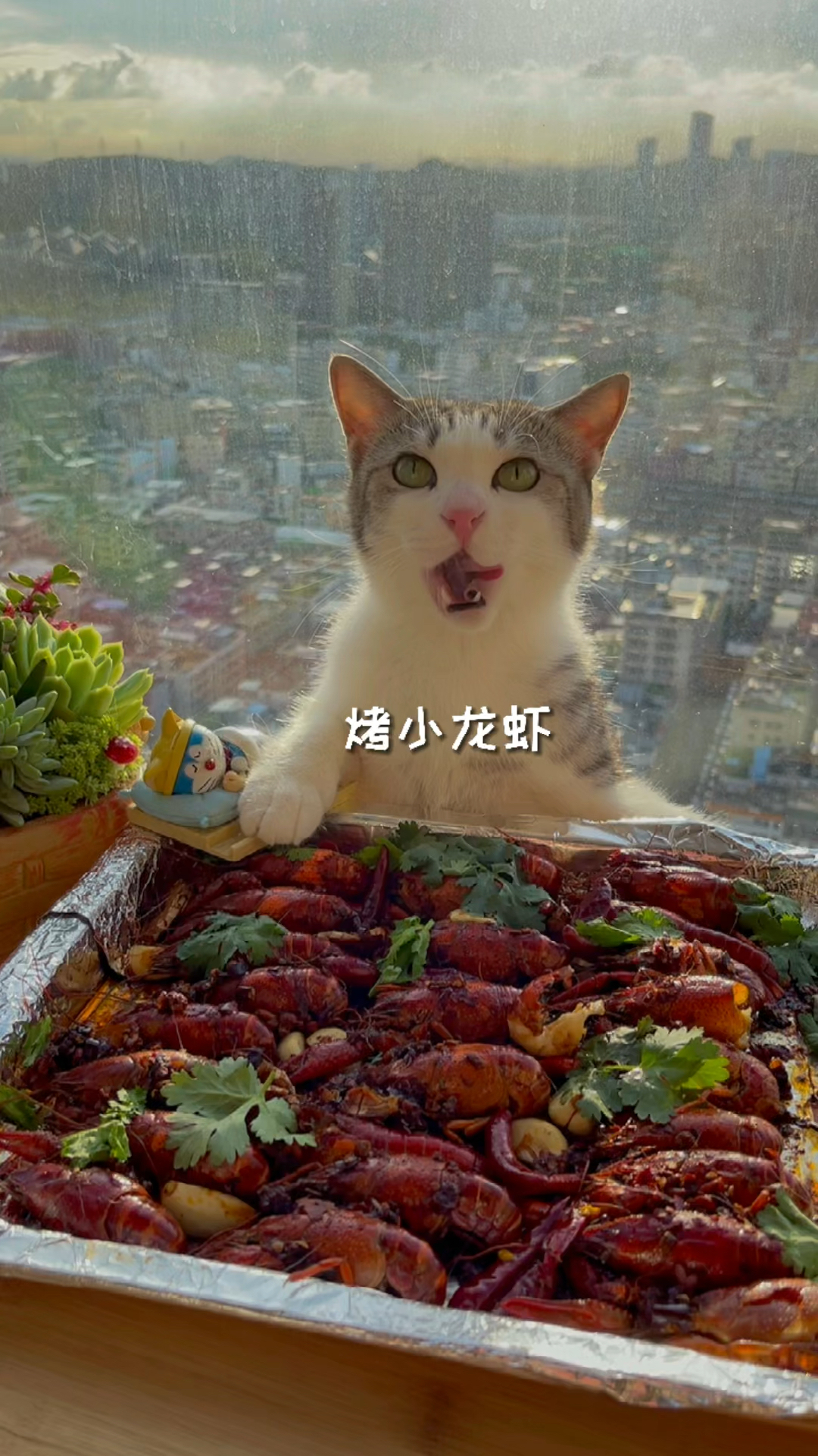 厨猫:麻辣小龙虾的新做法,你学会了吗?