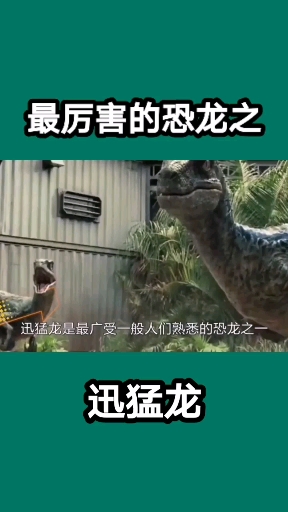 最厉害的恐龙之。迅猛龙