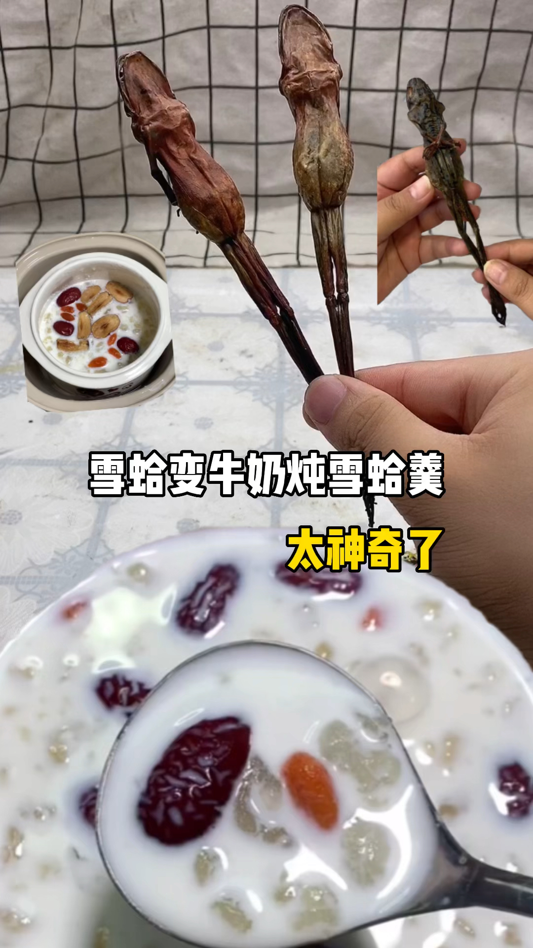 #破壳计划#雪蛤变牛奶炖雪蛤羹