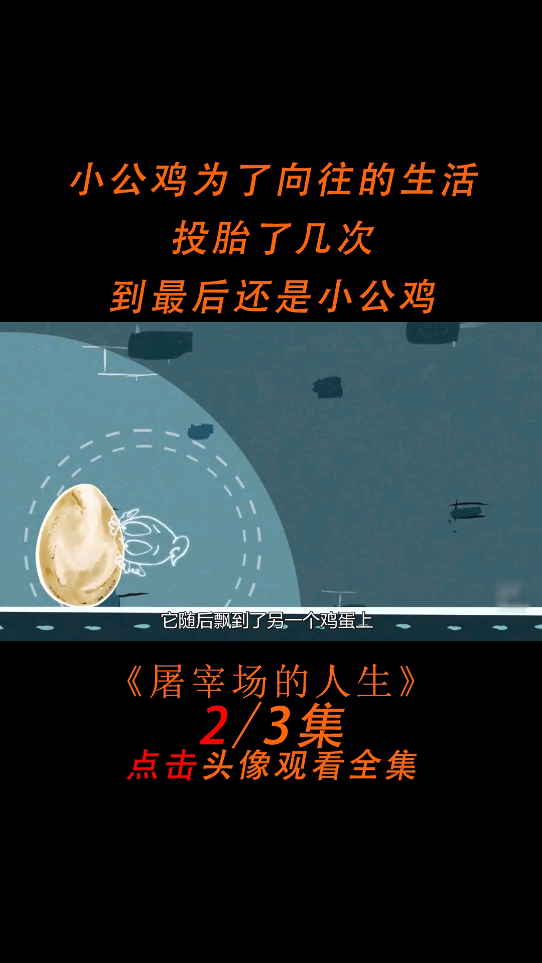 小鸡为了向往的生活,投胎了几次,到最后也没能改变命运