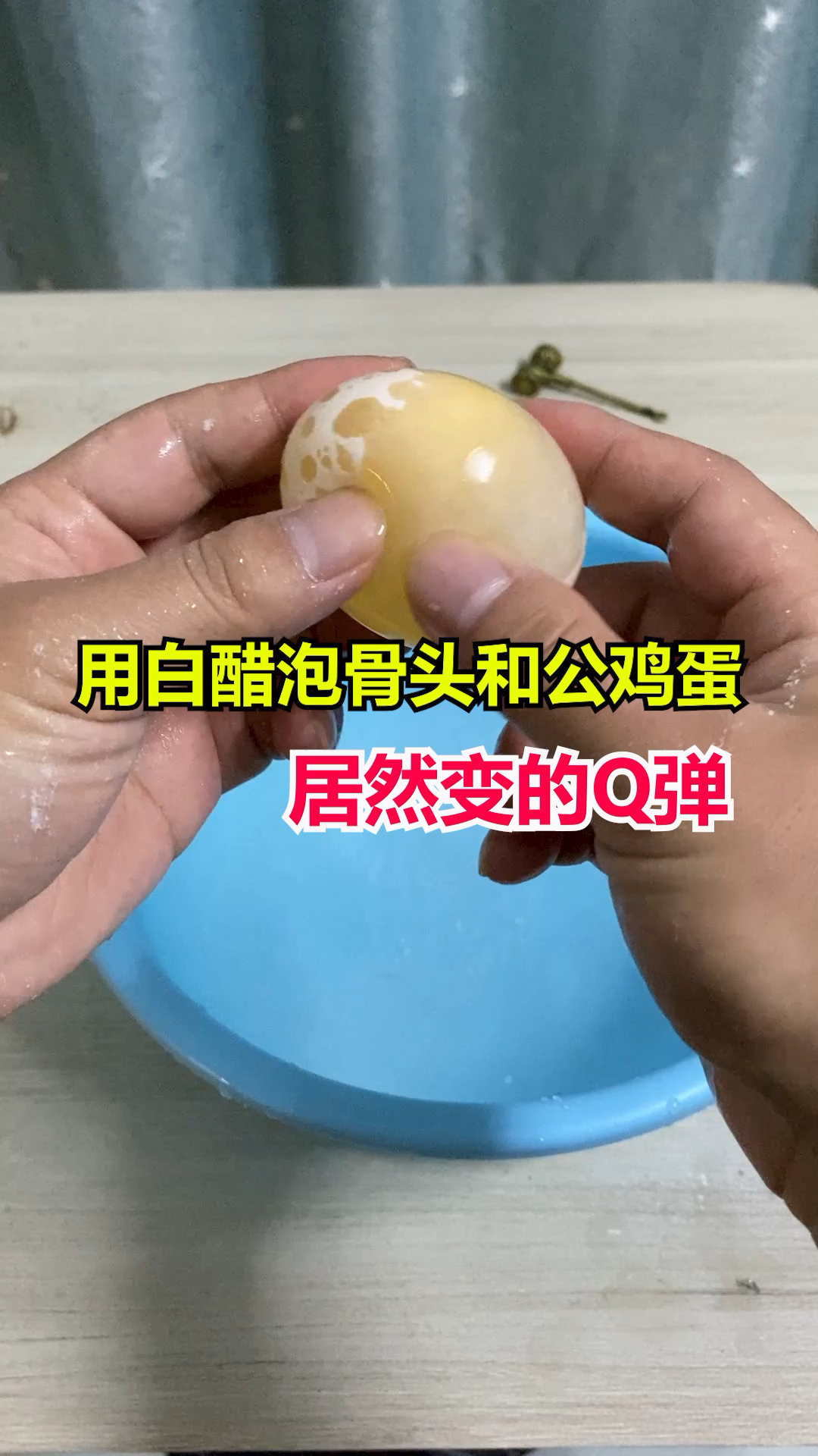 用醋泡过的骨头和鸡蛋变得软绵绵的