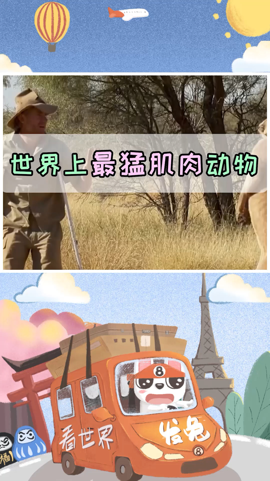 #知识科普#动物界的三个肌肉“大佬”,看到就安全感十足,让众多男人都自愧不如!