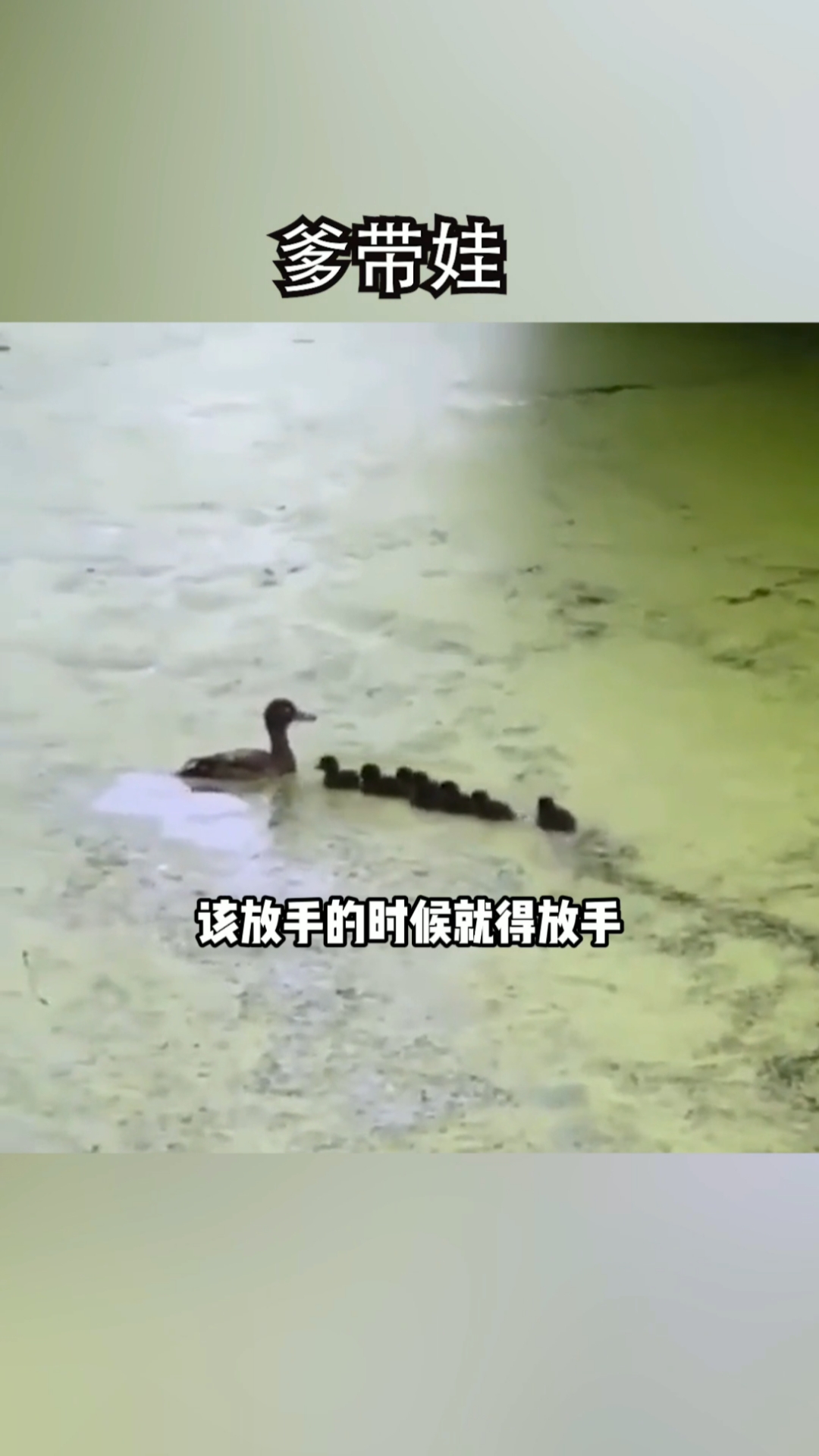 #搞笑配音#爹带孩子就这么皮吗？