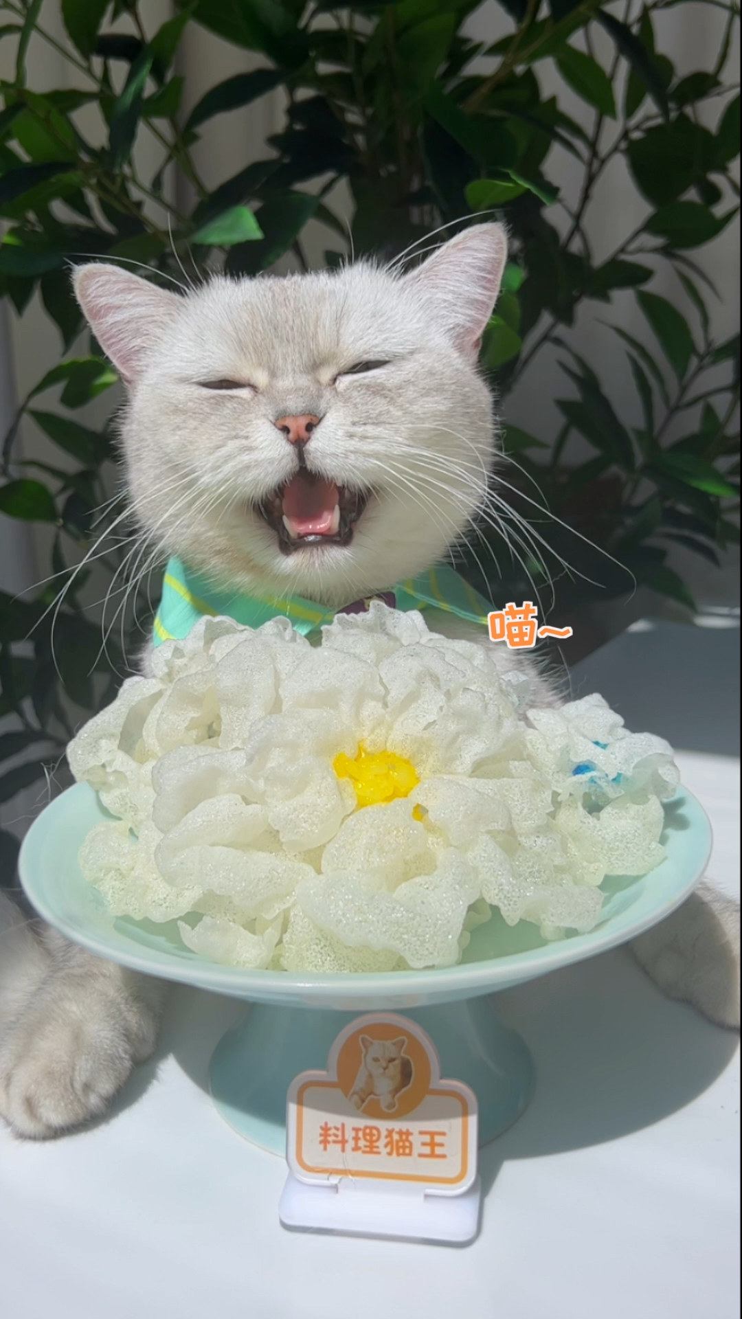 #自制美食#春卷皮用油炸一炸,美得像春天的花一样