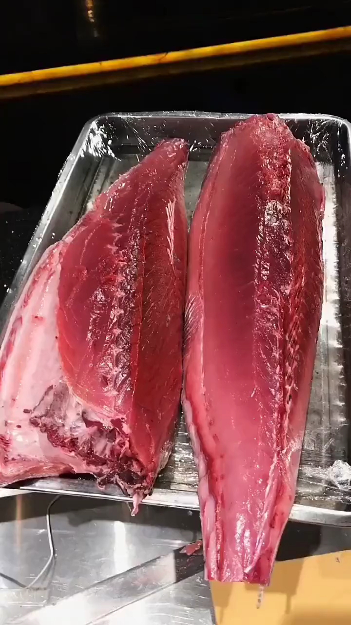 #美食#蓝鳍金枪鱼最好吃的部位你们知道是哪里吗？