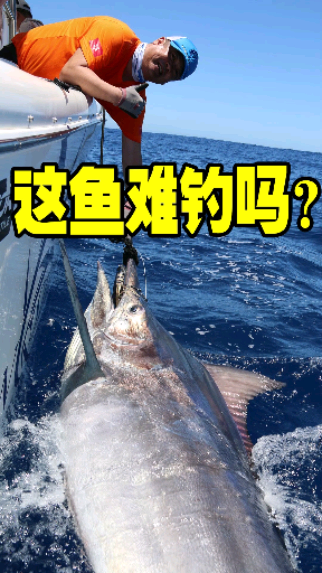 这么大号的马林鱼,独立挑战完成!太爽了。