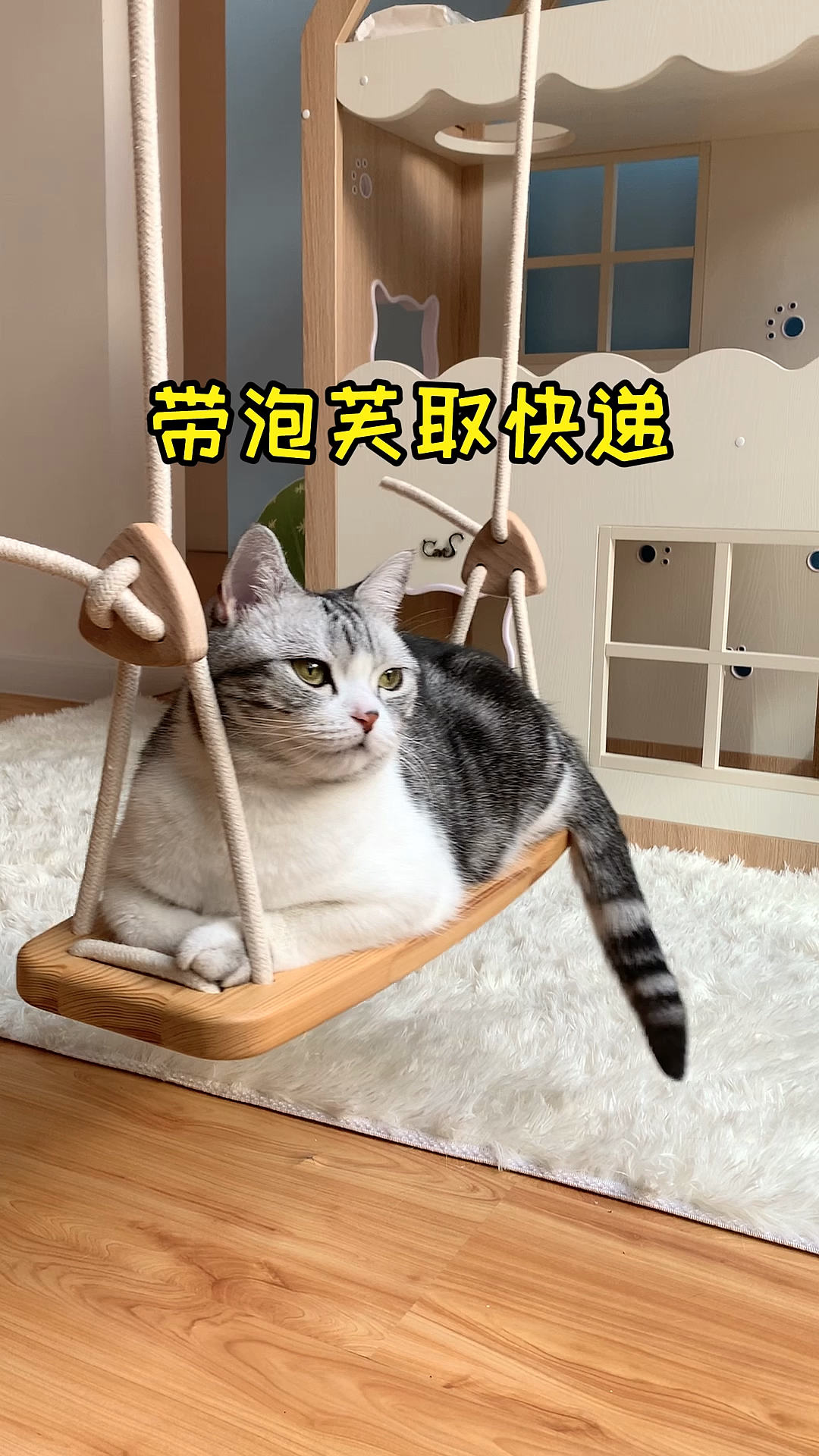 #小小爱宠萌化你#收到了新年礼物，给泡芙拍了2021年第一组照片，祝大家新年快乐