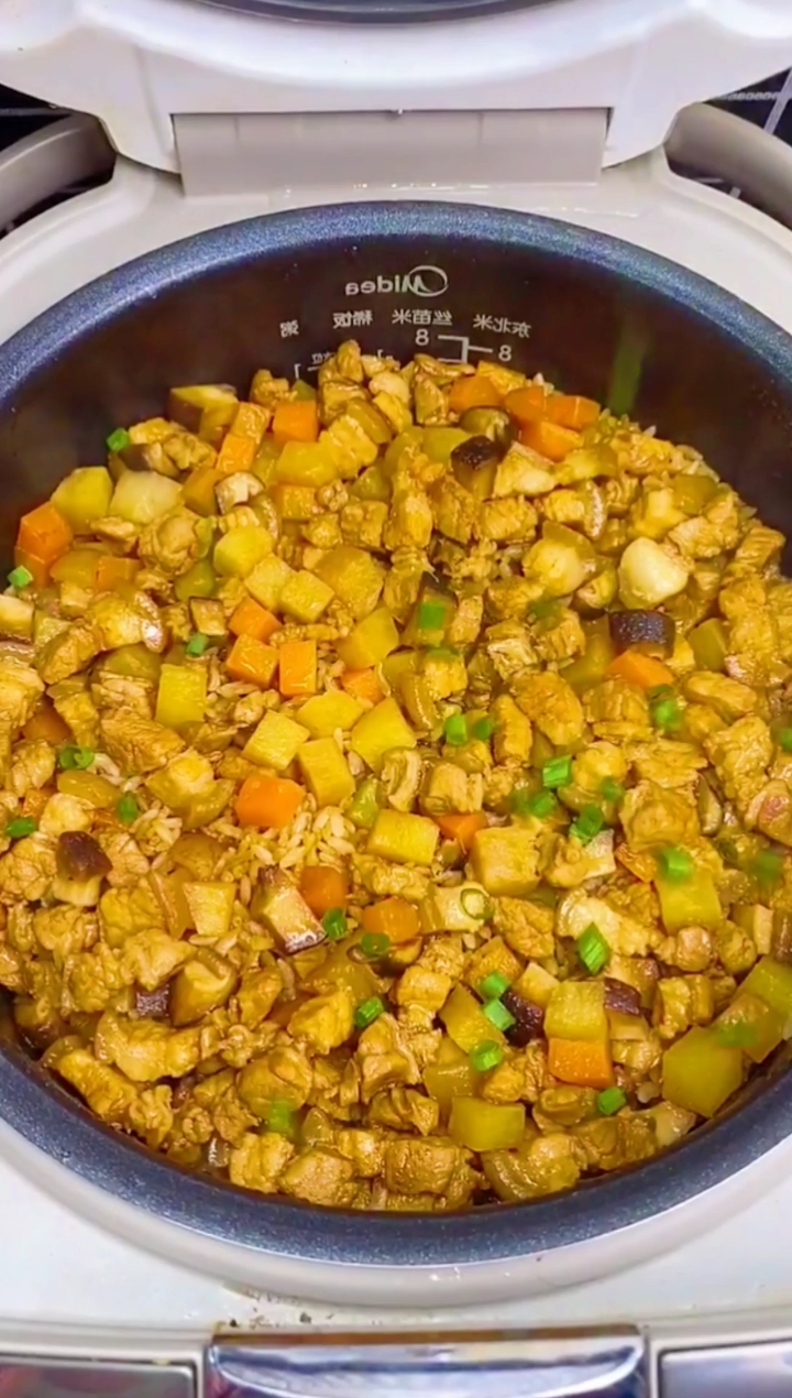 #自制美食#一块猪肉一个电饭锅,轻松做出好吃的卤肉饭,做法简单又好吃!