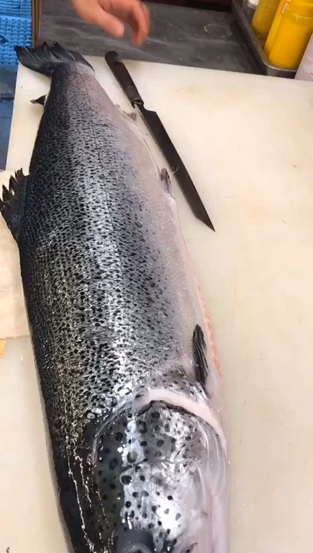 #三文鱼#这个手法去鱼鳞简直就是高手,有喜欢的吗?