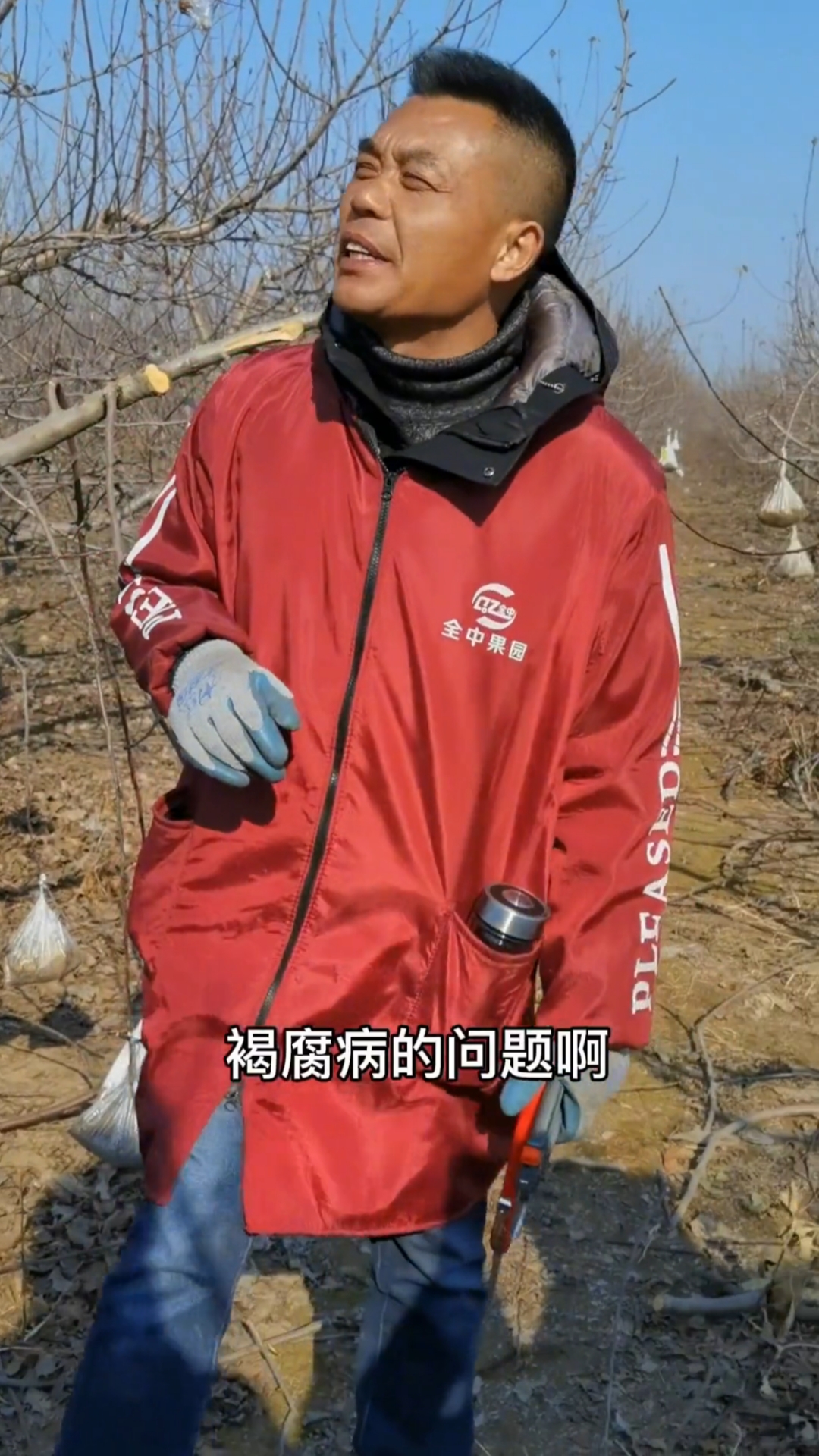 褐腐病的发病规律和预防时间及方案
