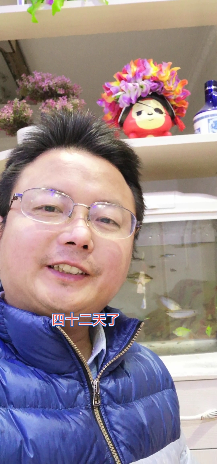 灯鱼混养很好看,特别是长大发色后,大家养过吗?