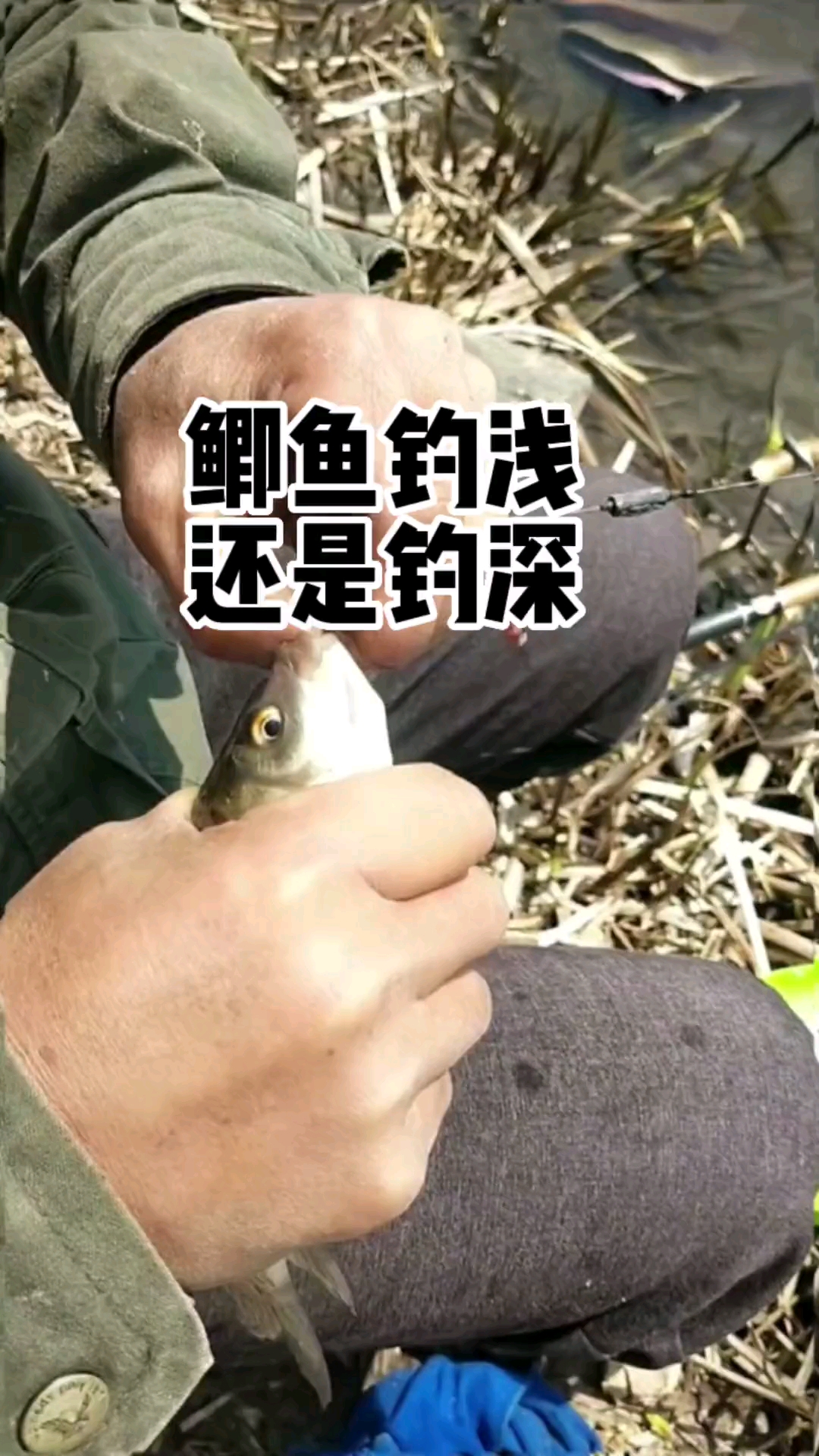 #钓鱼#鲫鱼这样钓,既简单又容易上钩