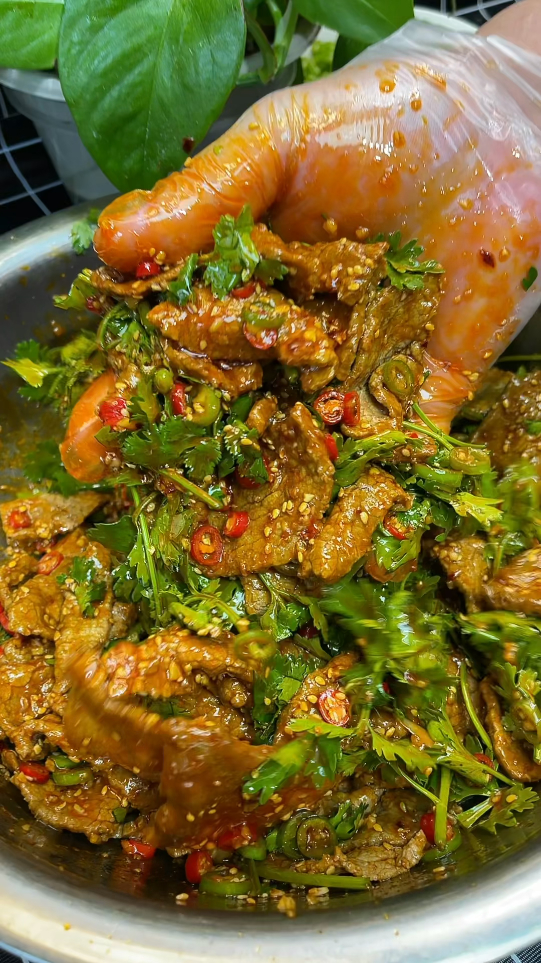 家庭版香菜拌牛肉做法,感谢大家支持!