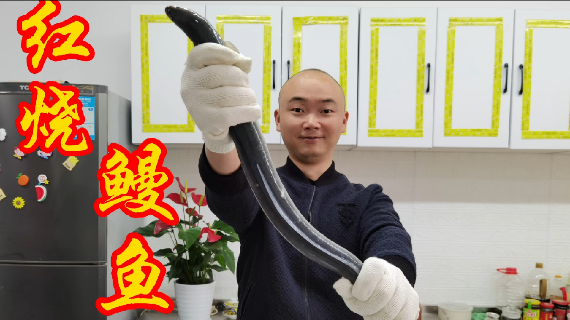 #家乡特色美食#66买了一条鳗鱼,洪江做“红烧鳗鱼”肉质细滑,皮子Q弹爽口