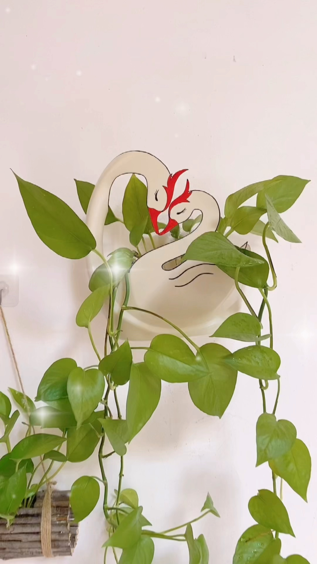 #废物利用#洗衣液瓶子改造花盆