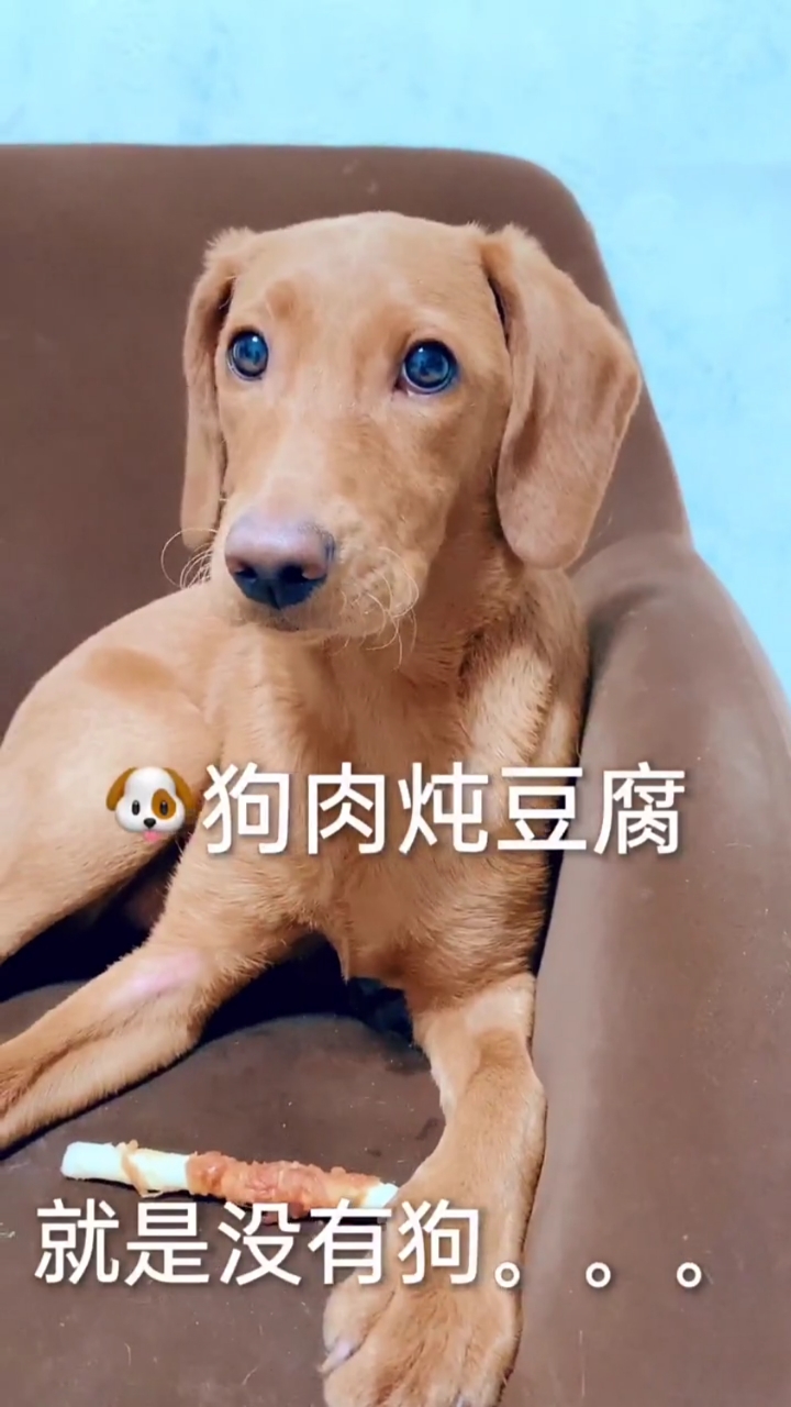#seven~妹妹(石榴)的孩子#二宝这是用100救了自己一命啊