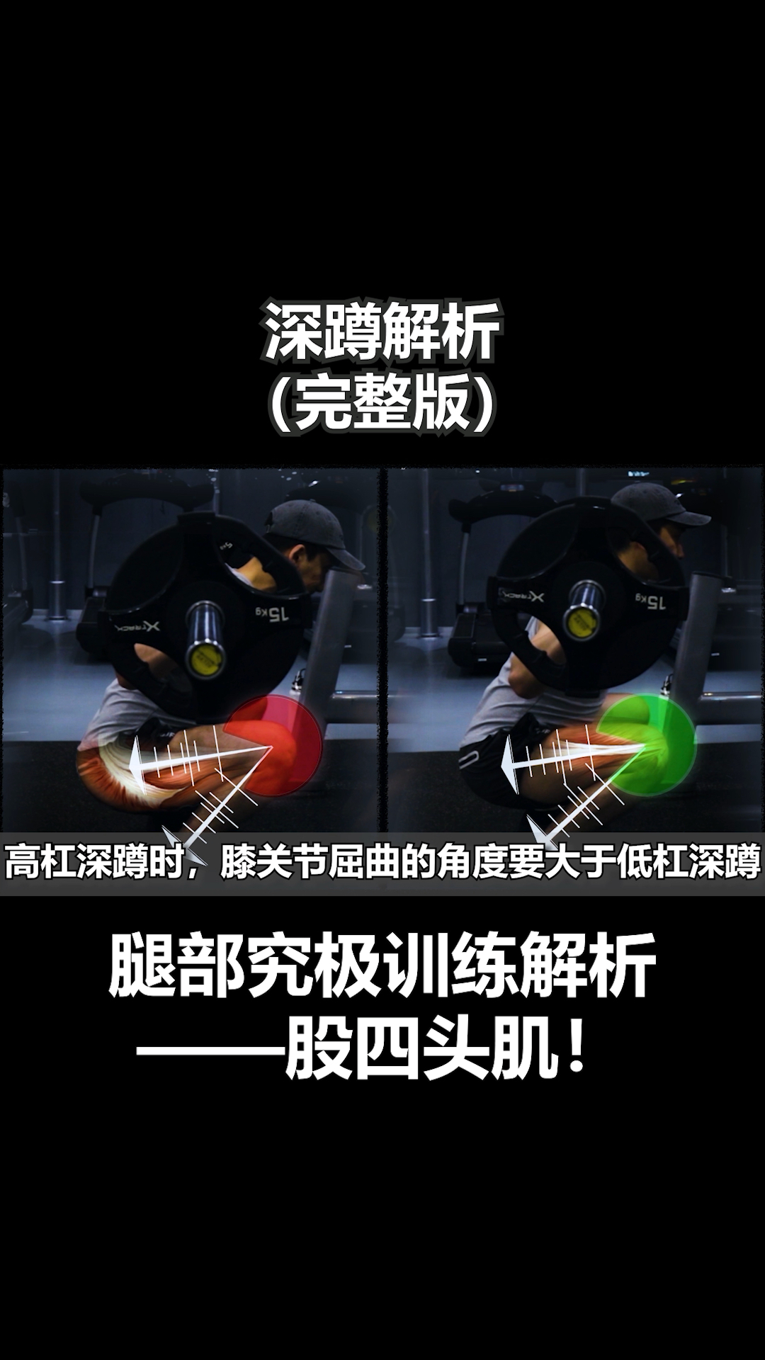 #健身#深蹲解析(完整版)