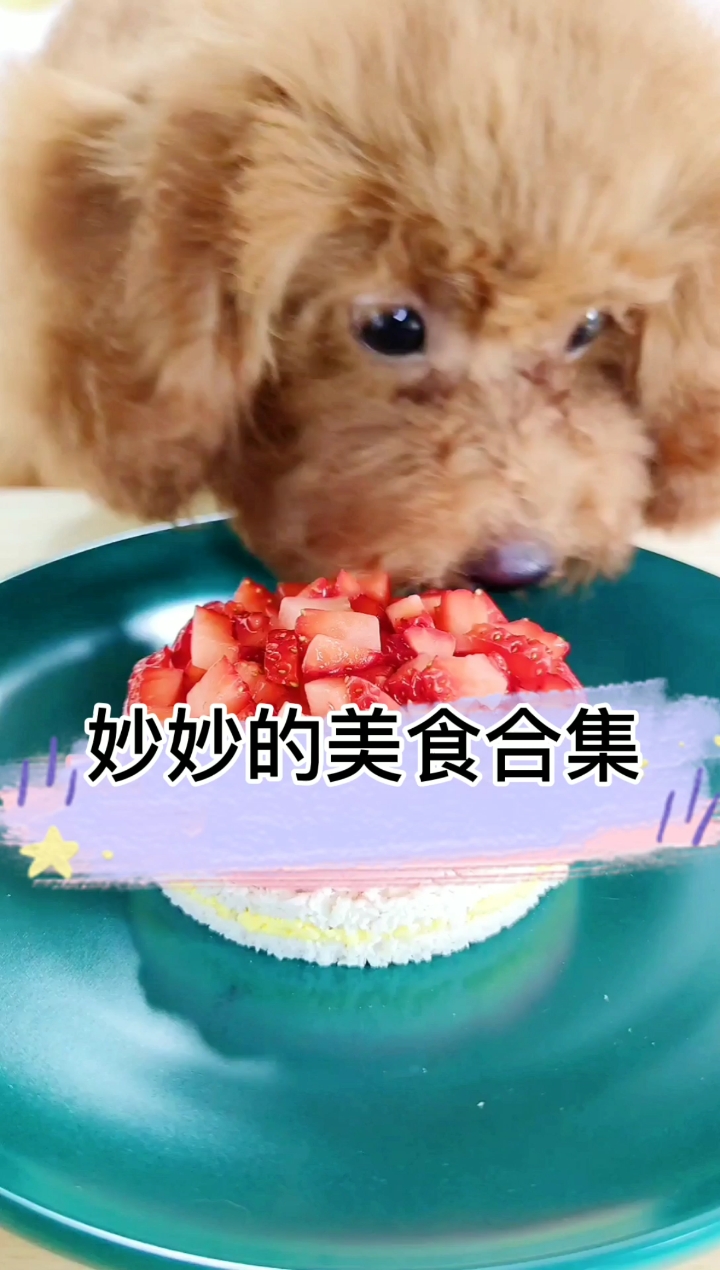 每天分享泰迪妙妙的营养美食,鲜食,零食,蛋糕,甜品,想学什么,评论区告诉我哦!