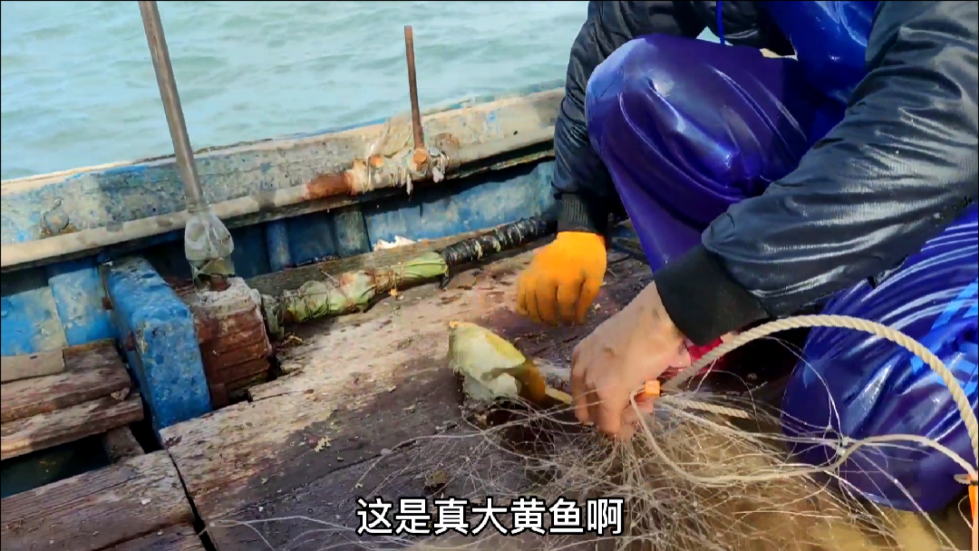 #赶海户外#鱼况堪忧的近海海域，却盛产渔民为着疯狂的名贵鱼种，不惜空网也要放手一搏（中）