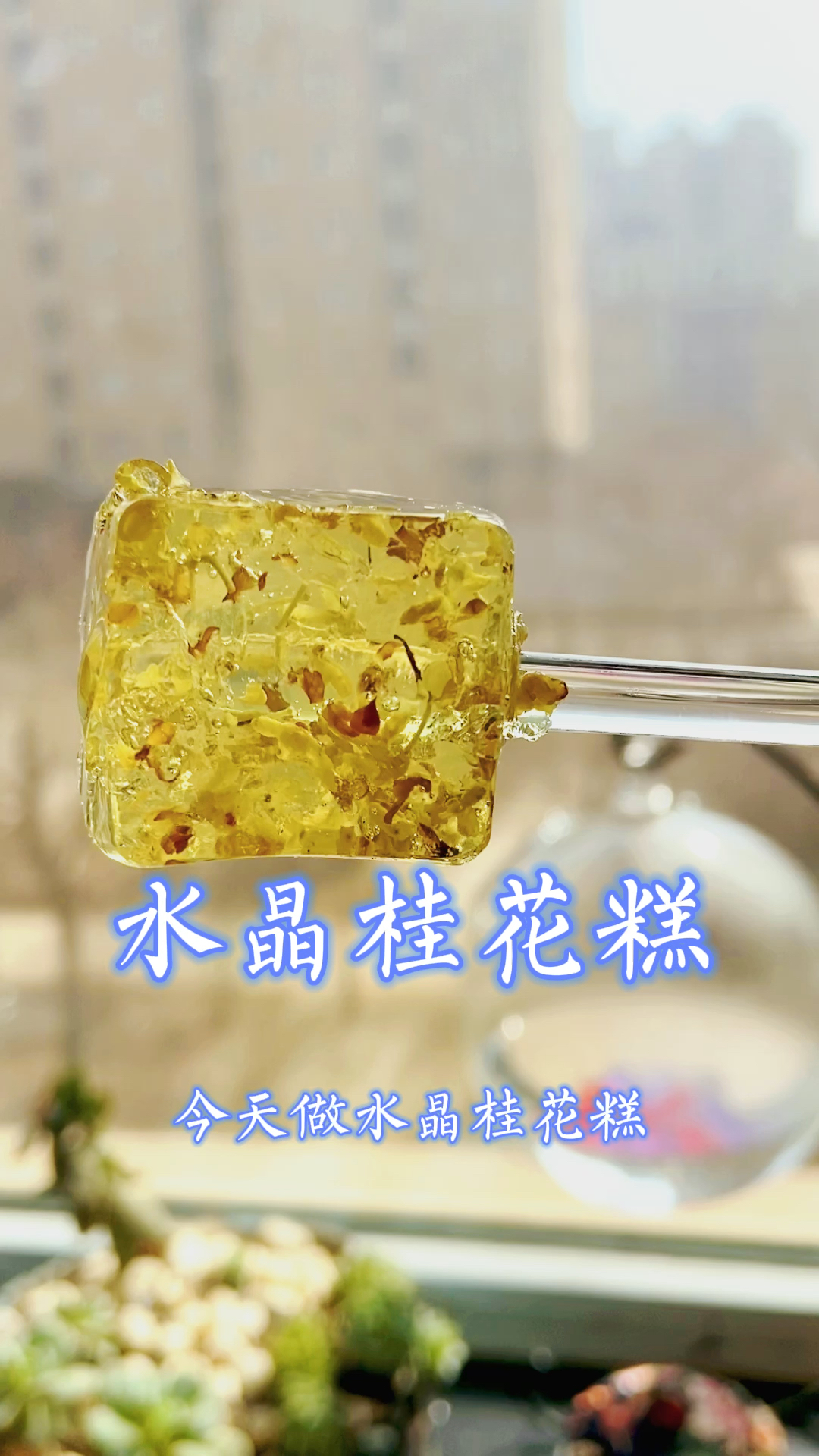 #光荣之家光荣军属#水晶桂花糕