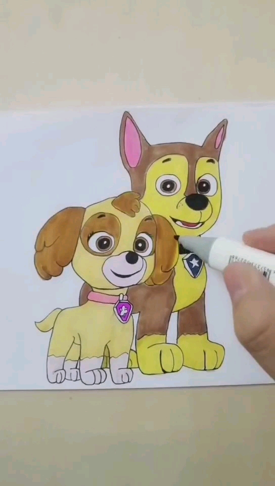汪汪队天天和阿奇简笔画