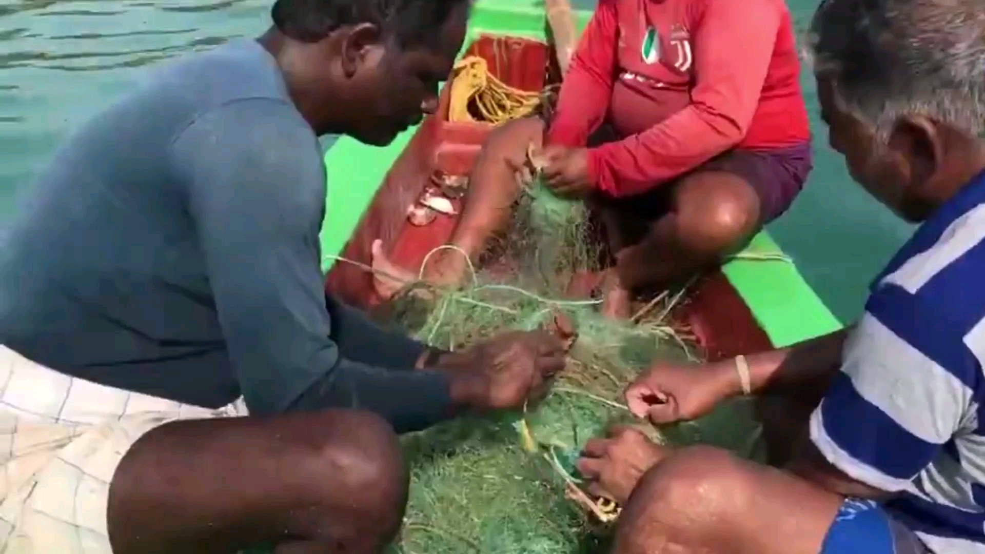 在印度做一只虾也是很悲吹的,同虾不同命!