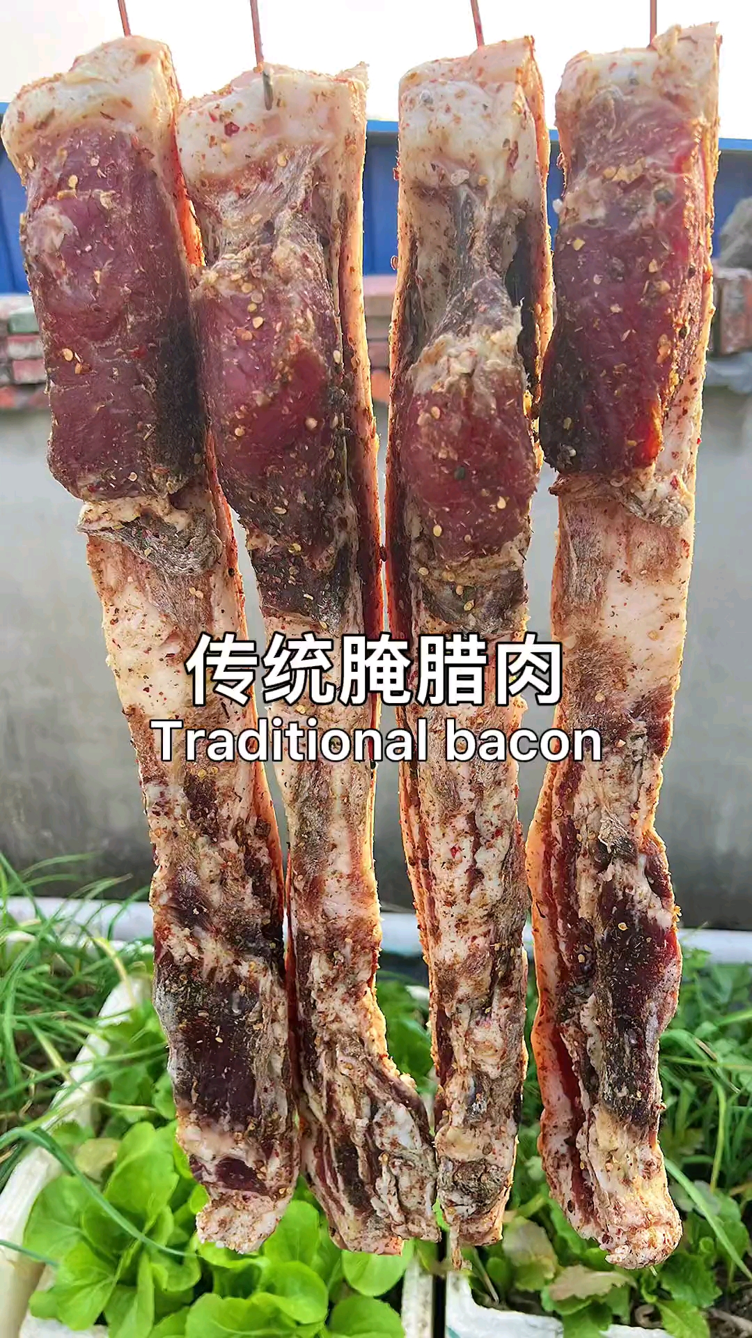 传统腌制腊肉的方法。