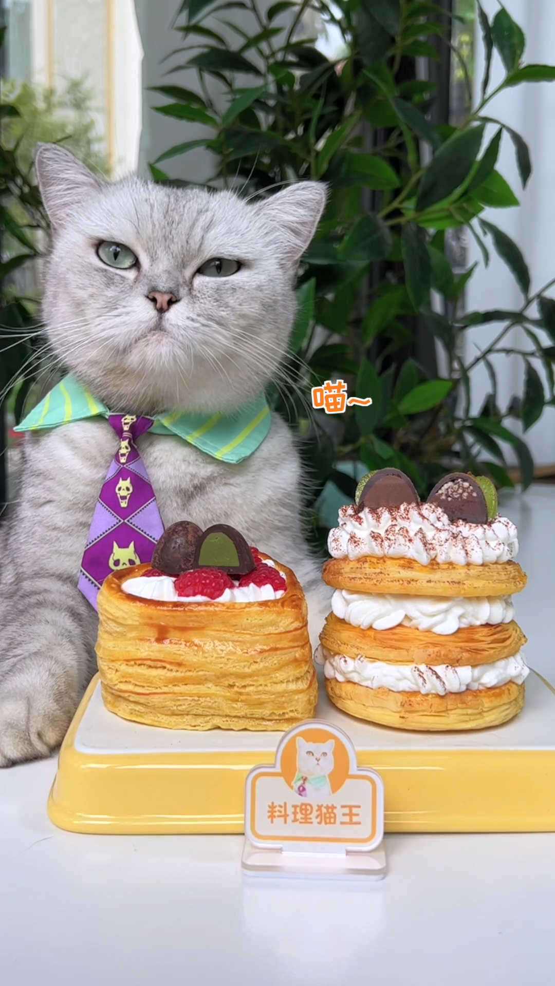 #美食记#猫王：蛋挞皮居然还能这么吃，简单几步解锁花样吃法！